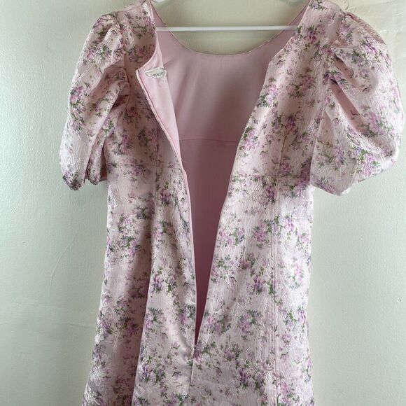 Hyacinth House Tuckernuck Pink Jacquard Empire Ella Mini Dress Sz M? Puff Sleeve - Picture 8 of 14